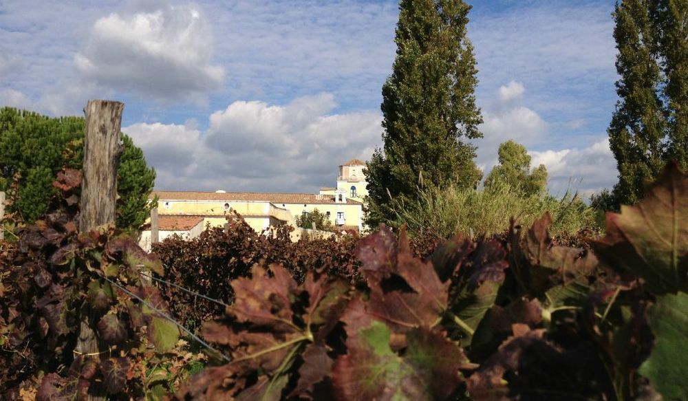 Masseria La Morella Bellizzi Dış mekan fotoğraf